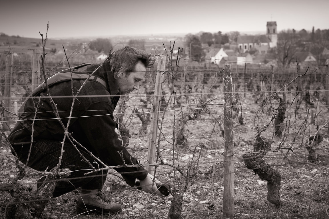 Taille Vigne de Pommard Les Rugiens Bas