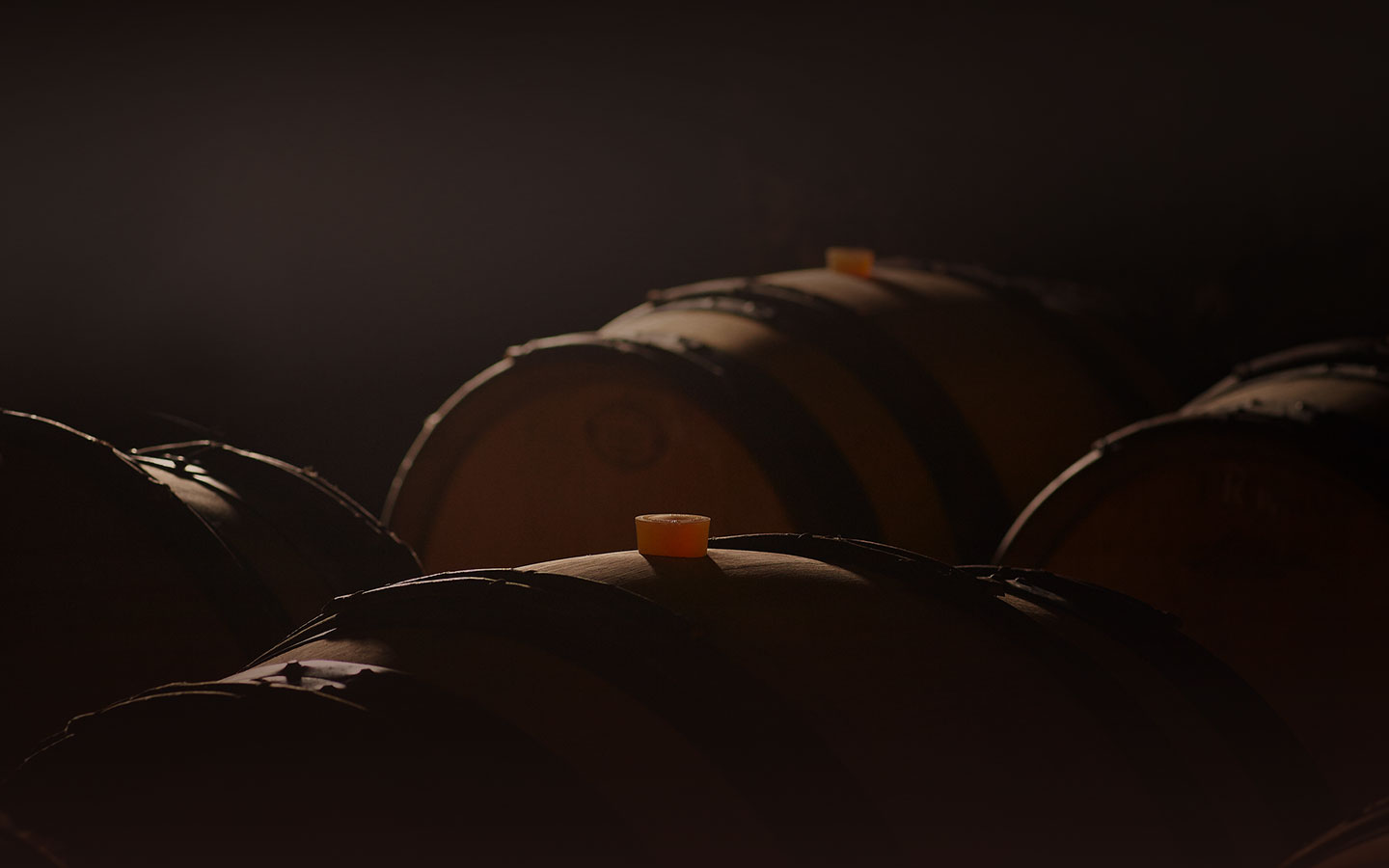 Maison Fatien: Fine Wines of Burgundy